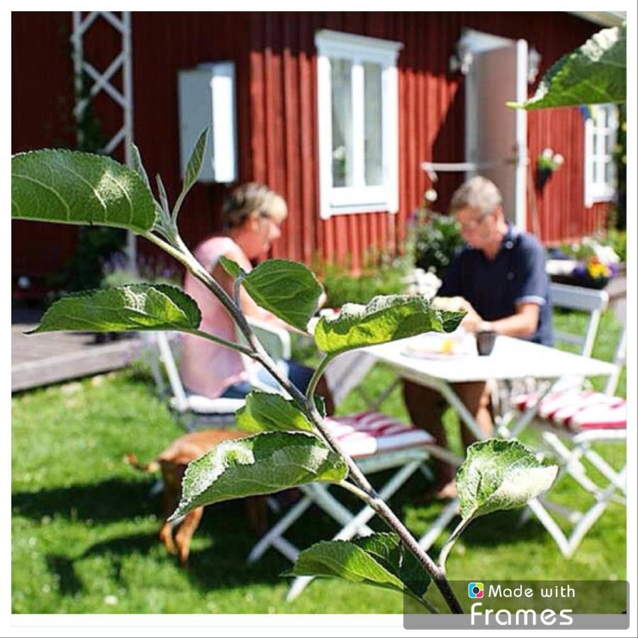 Haggum Lavendeltorpet B&B 외부 사진