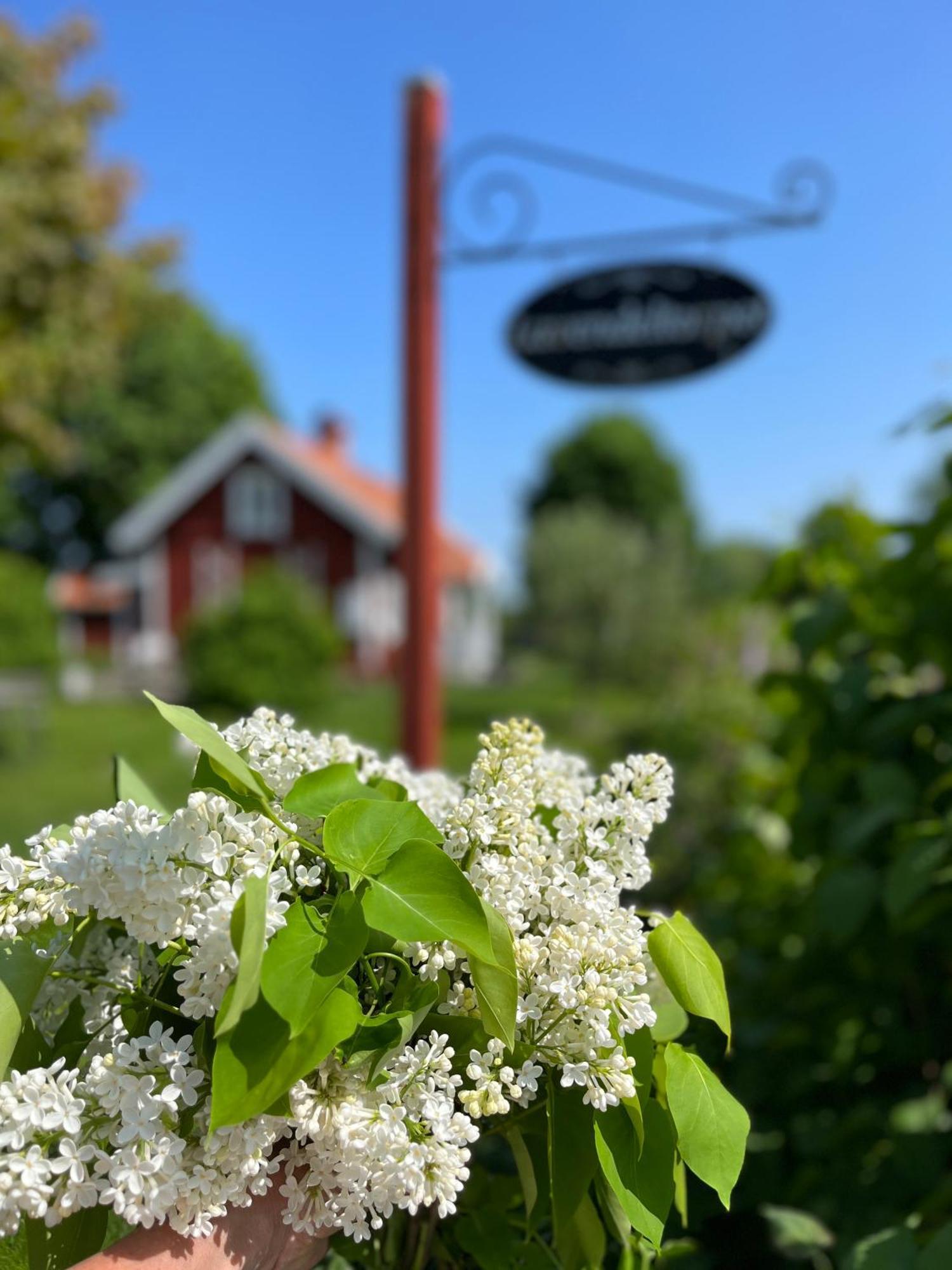 Haggum Lavendeltorpet B&B 외부 사진
